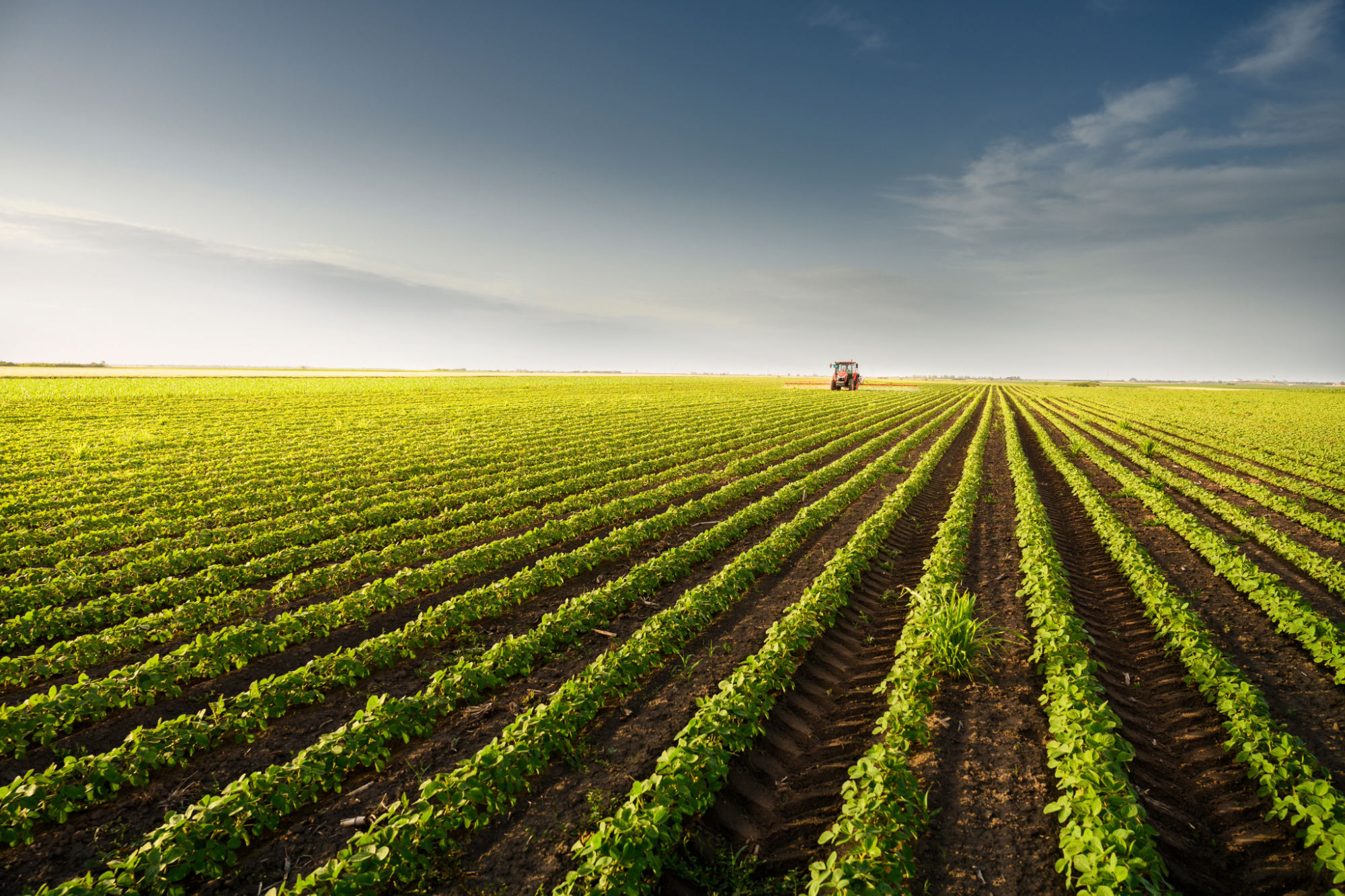 Ürün Kalitesini Artıran Faktörler Nelerdir?