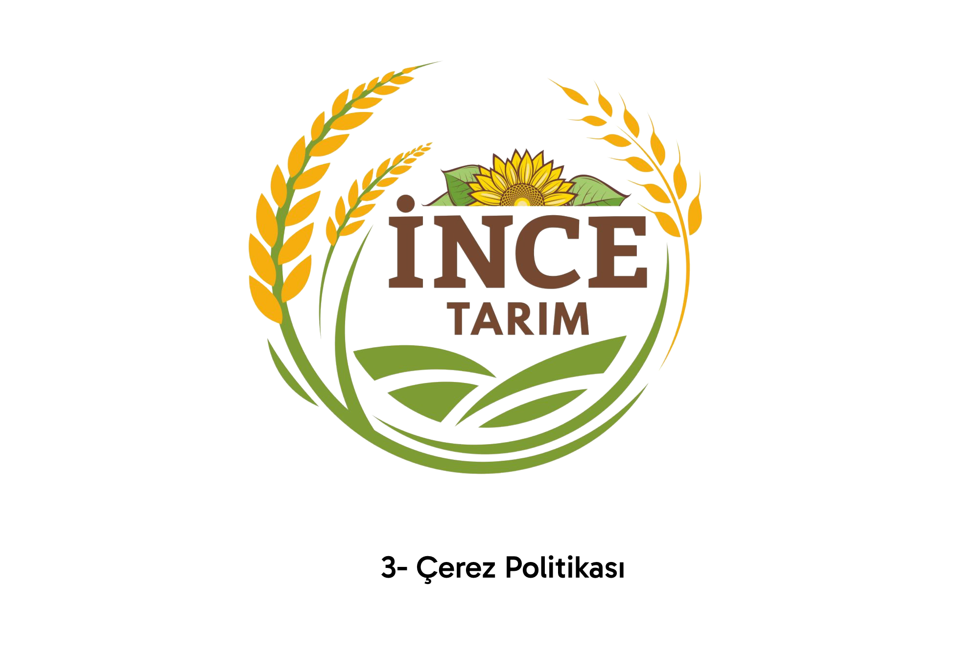 3- Çerez Politikası